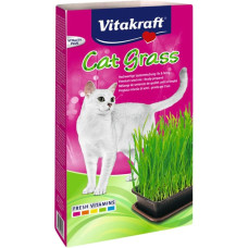 CAT GRASS HIERBA 120GR.