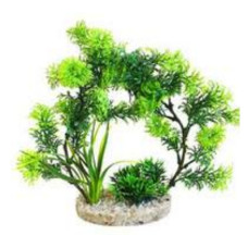 Decoração Planta Arch 21cm