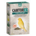 Cantorex-Sem.Saúde/Canto