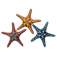 Decoração aquário - Estrela do Mar (Cores sort.) / 6,5CM Decoração aquário - Estrela do Mar (Cores sort.) / 6,5CM