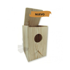 NINHO CATURRA VERTICAL 