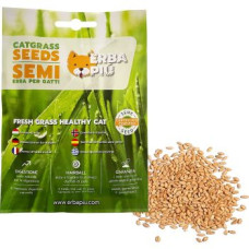 SEMENTES DE ERVA PARA GATOS 