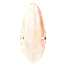 SEPIA SHELL ON CARD 11CM 2PCS