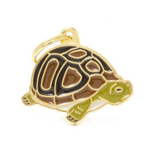 CAPA TURTLE