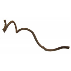 Back Zoo Nature Curly Vine 60cm 2-5cm Back Zoo Nature Curly Vine 60cm 2-5cm