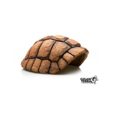 CARAPACE DE TORTUE GROTTE CARAPACE DE TORTUE GROTTE